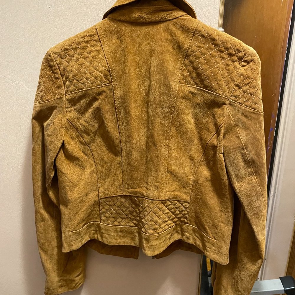 Express Suede Motorcycle Jacket - image 3